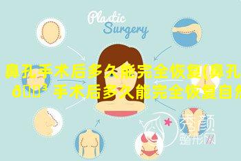 鼻孔手术后多久能完全恢复(鼻孔 🐳 手术后多久能完全恢复自然)